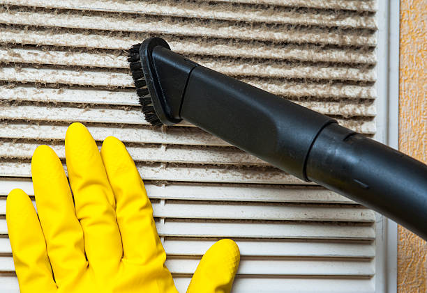 Best Commercial Air Duct Cleaning  in Lake Panasoffkee, FL