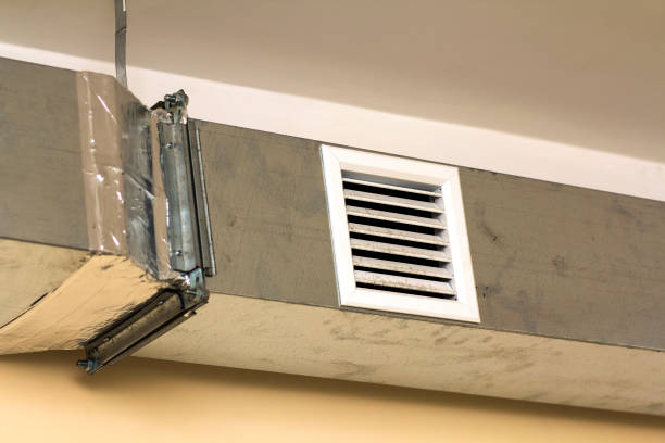 Best Affordable Air Duct Cleaning  in Lake Panasoffkee, FL